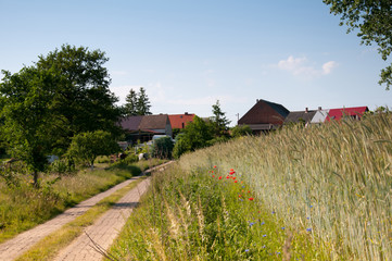 Road to the village