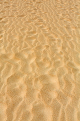 Sand patterns after wind  on the Nature reserve, Park Natural, Corralejo, Fuerteventura, Canary Islands, Spain.