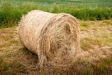 Bale in the countryside