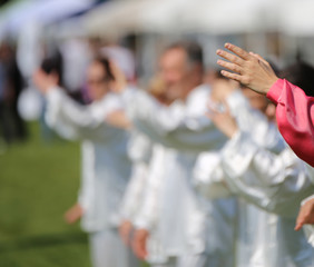hand of martial arts master Tai Chi with many followers