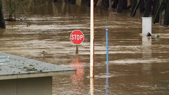 A stop sign stands in a river that has flooded a park