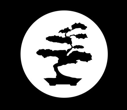 bonsai