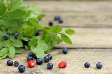 forest fruit wild strawberries and blueberries/ background with delicious wild blueberries and strawberries in the summer 