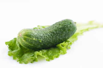 The cucumber