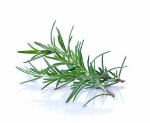 Rosemary isolated on white background