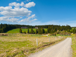 Fototapeta premium Green hilly rural landscape with country road, meadows and forest on sunny day and blue sky with white clouds, Horska Kvilda, Bohemian Forest, Sumava National Park, Czech Republic