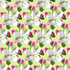 Vector Spring Apple or Cherry flowers blossom pattern. Beautiful natural blooming flower illustration. Watercolor realistic handrawn technique