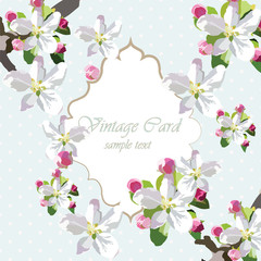 Vector Vintage Card with spring delicate blooming flowers. Invitation or greeting card
