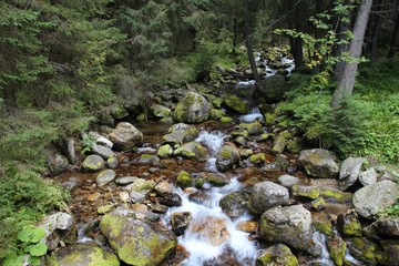 Nature in Poland - Tatry mountains