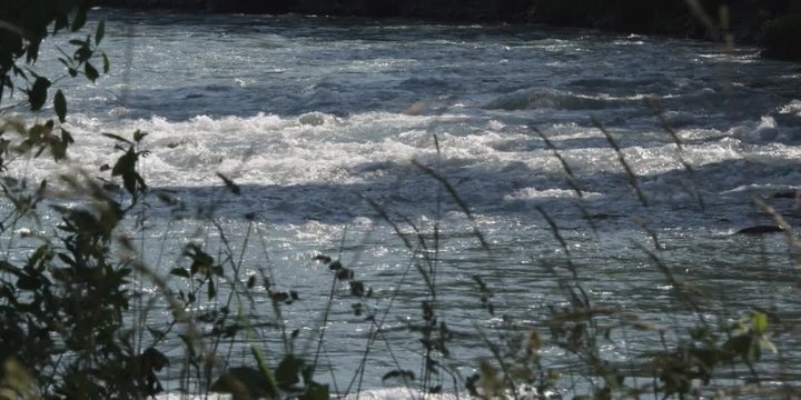 Rapids in a river seen through waving grass along the bank