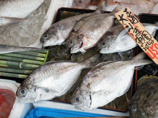 鮮魚店に並んだエボダイ