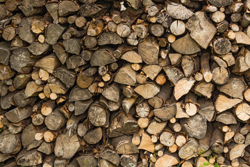 Firewood texture, after the sawing wood