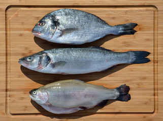 Сибас,дорада,форель