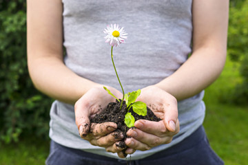Natural flower seedling save in hands