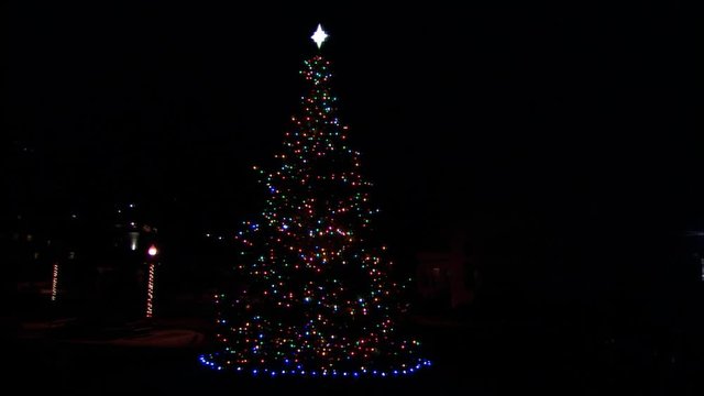 An outdoor Christmas tree at night decorated with twinkling lights and a star