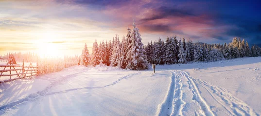 Peel and stick wall murals Winter the winter road