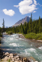 Astoria river in Jasper National Park, Canada