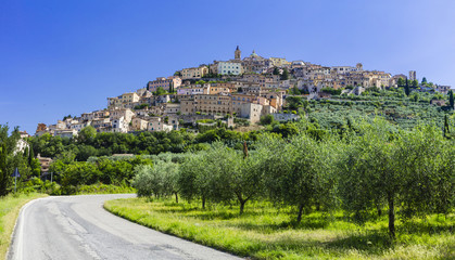 View of Trevi city with olive trees ( Umbria, Italy )