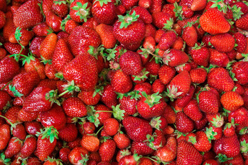 Strawberry - full frame. Top view, High resolution product.
