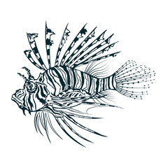 Black and white vector image of lionfish engraving style