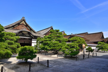 Japanese garden of Honganji temple, Kyoto Japan.