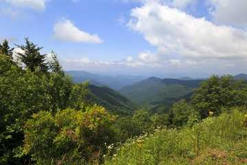 Blue Ridge Parkway View of the Mountains in Summer