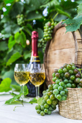 Wine with barrel on vineyard