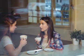 Young friends communicating at cafe