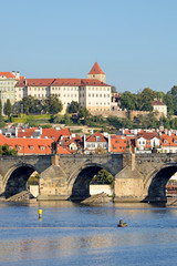 Charles Bridge in Prague - obrazy, fototapety, plakaty