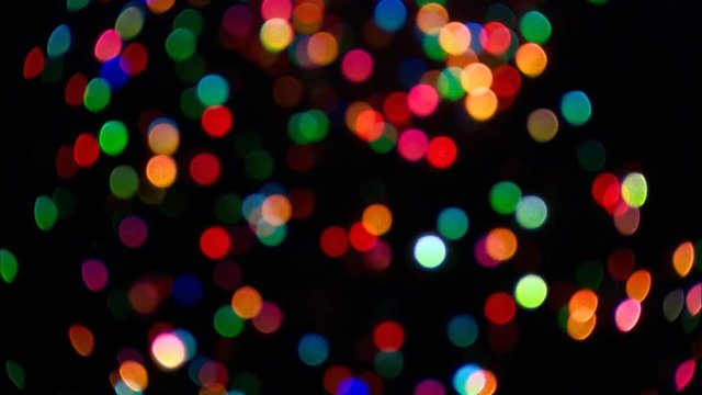 Twinkling soft-focus lights on an outdoor Christmas tree at night