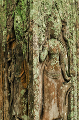 Relief of Devatas, Angkor Wat Temple, Siem Reap