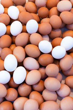 Chicken eggs as background