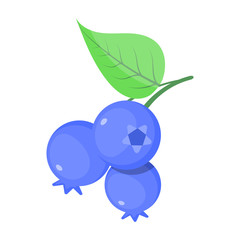 Blueberry colorful icon