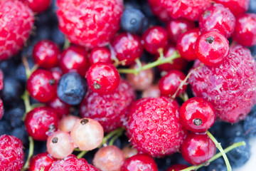 fresh organic berries. raspberries, blueberries, red currants 