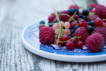 fresh organic berries. raspberries, blueberries, red currants 
