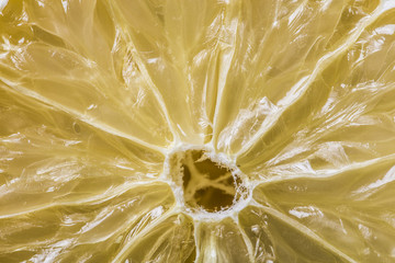 Juicy lemon fruit slice macro