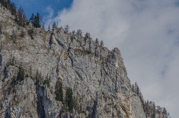 felsiger berg und baeume