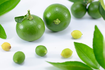 Green lime with leaf isolated on white background