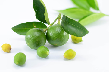 Green lime with leaf isolated on white background