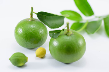 Green lime with leaf isolated on white background