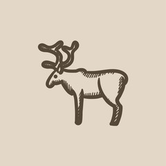 Obraz premium Deer sketch icon.