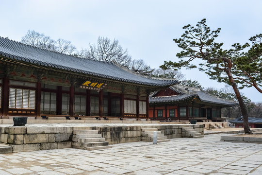 buildings at Changgyeong palace area3