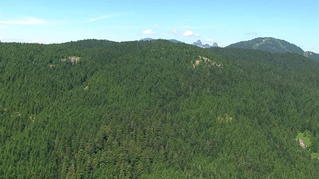 Flight over forested slope in British Columbia, Canada
