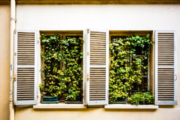 European tradition vintage wooden windows