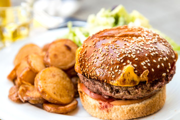 Cheese burger - American cheese burger with fresh salad