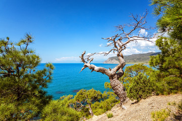 Природный заповедник Караул-Оба, полуостров Крым, город Судак, Черное море