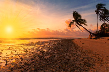Philippines,  tropical sea background sunset