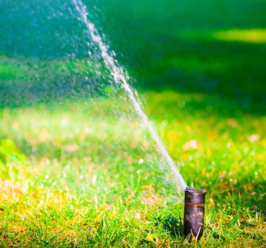 Watering  sprinkler  lawn