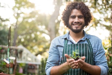 Happy male gardener holding sapling
