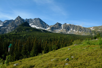 Meadow, peaks and trees in Gasienicowa valley
